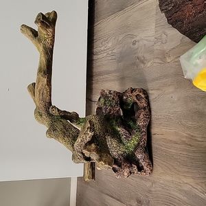Reptile tree/perch